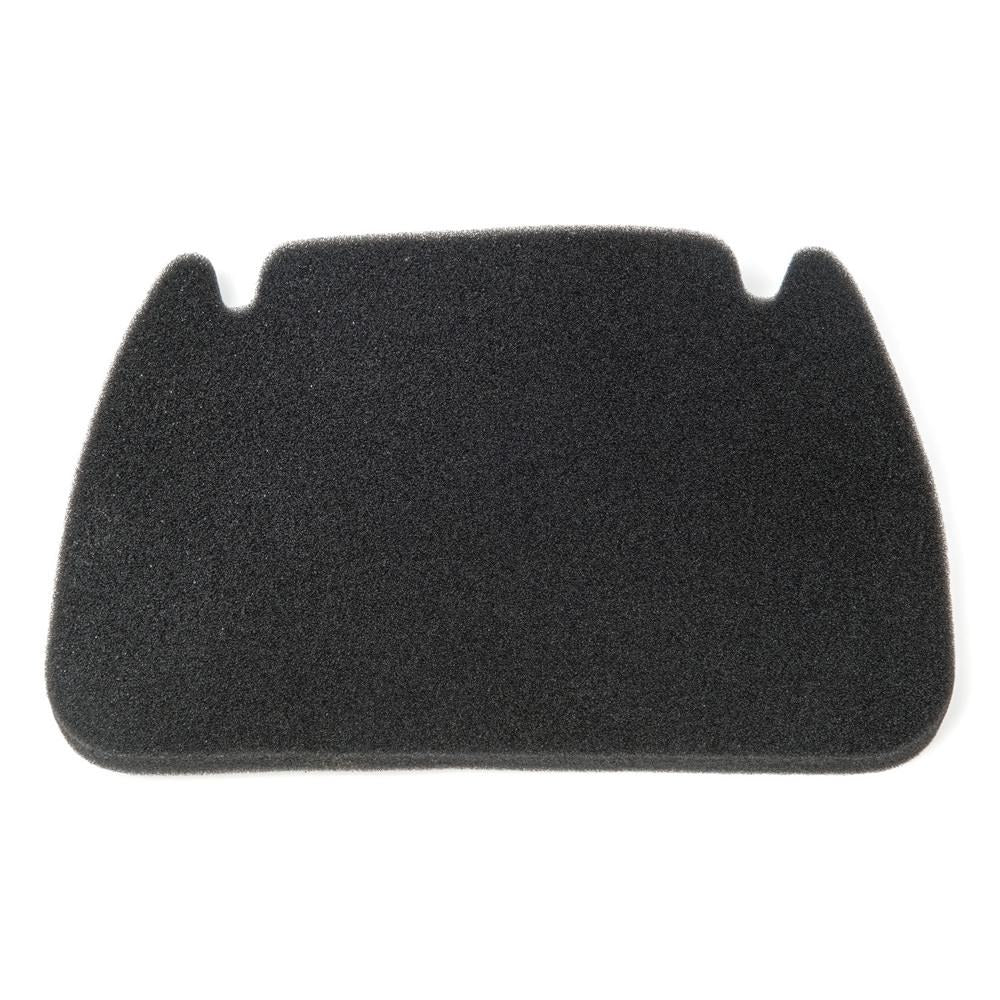 RZ500 Air Filter