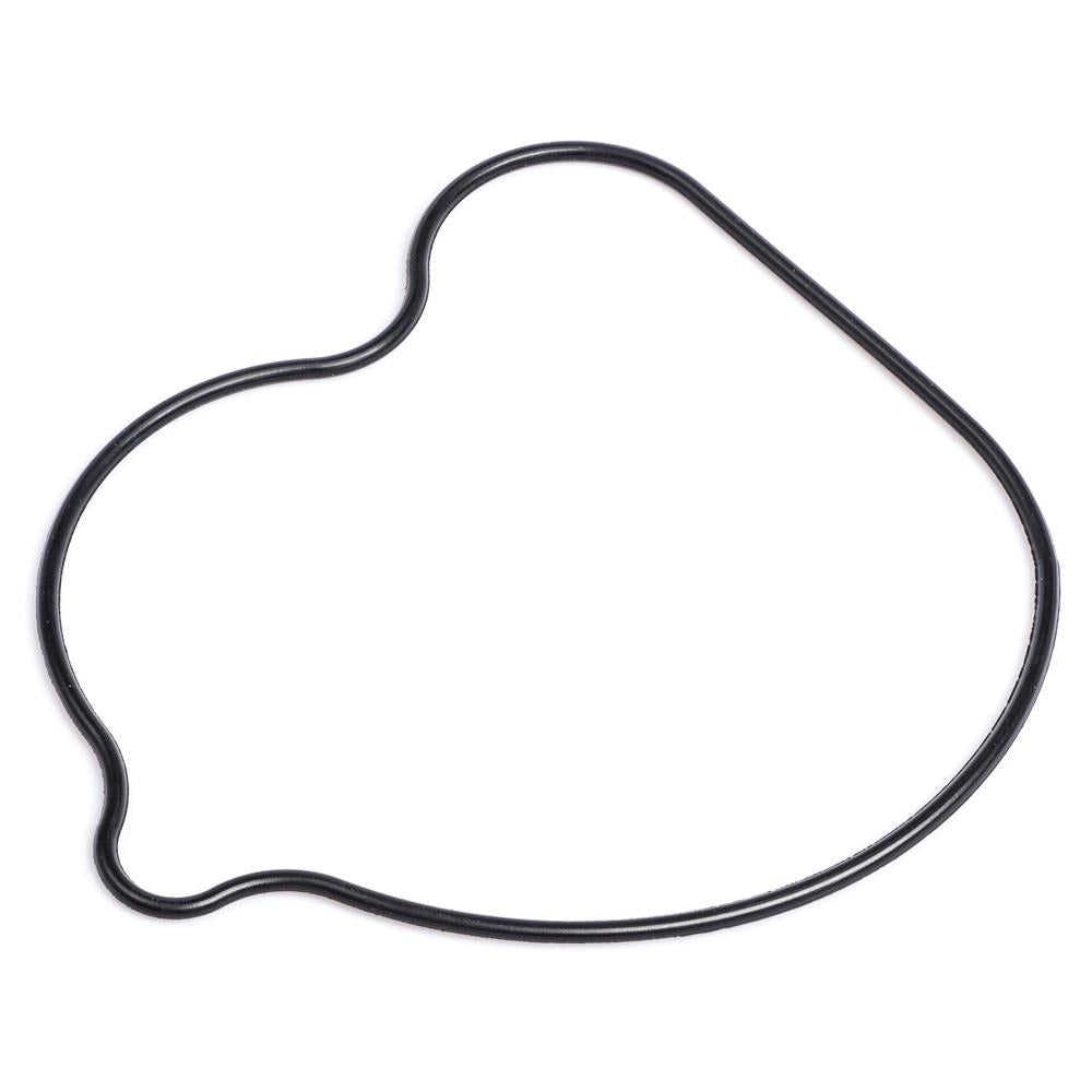 FZR750R OW01 Water Pump Housing Seal