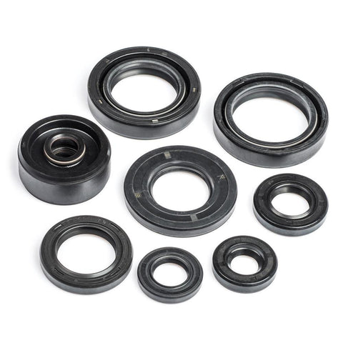 RDZ125LC Engine Oil Seal Kit