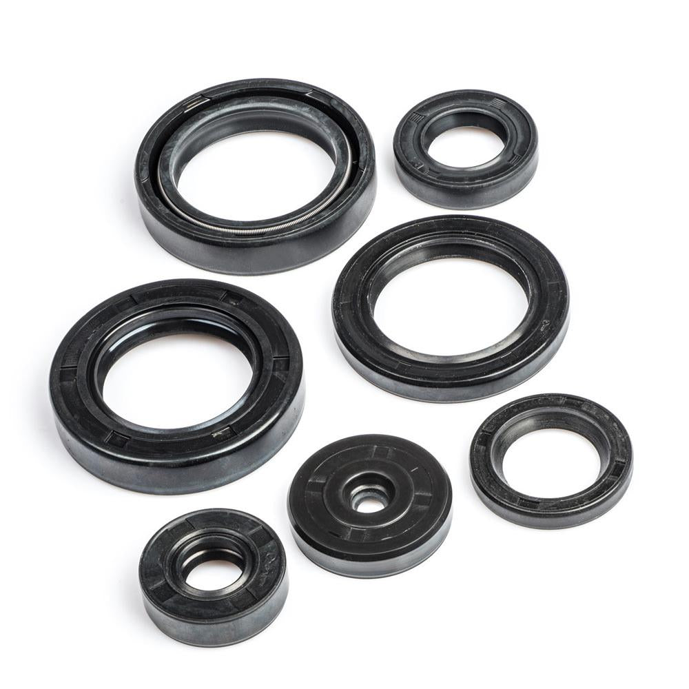 RX100 Engine Oil Seal Kit