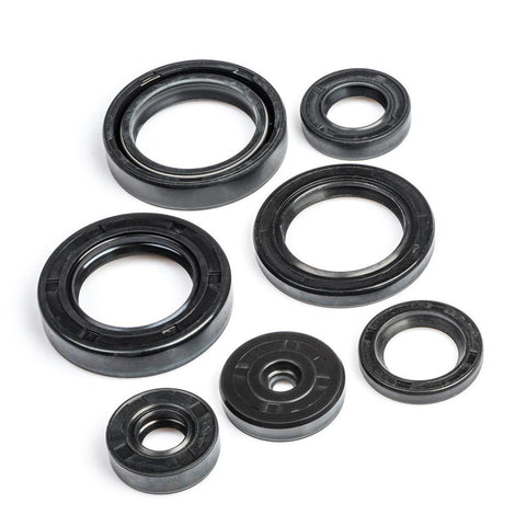 RX100 Engine Oil Seal Kit