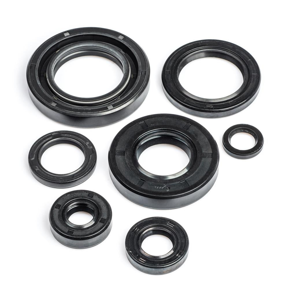 YB100 Engine Oil Seal Kit 1978-1992