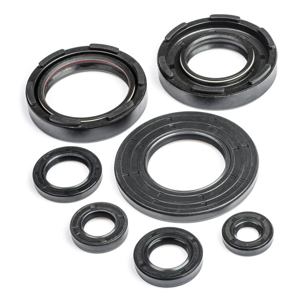 DT400 Engine Oil Seal Kit
