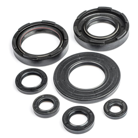 DT400 Engine Oil Seal Kit