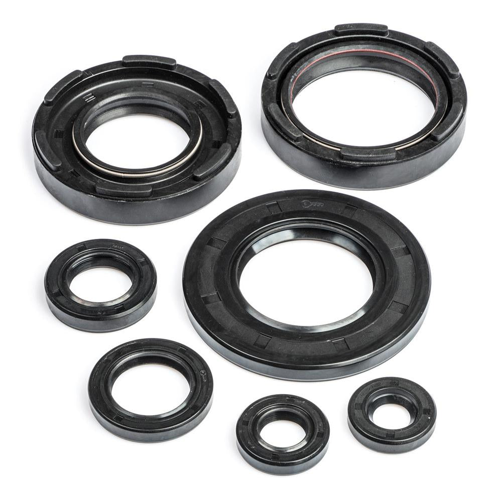 DT400MX Engine Oil Seal Kit