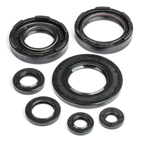DT400MX Engine Oil Seal Kit