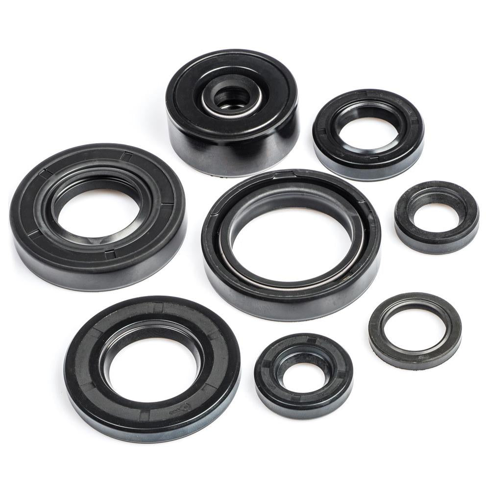 DT80LC1 Engine Oil Seal Kit