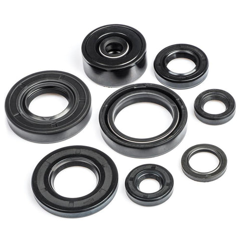 DT80LC1 Engine Oil Seal Kit