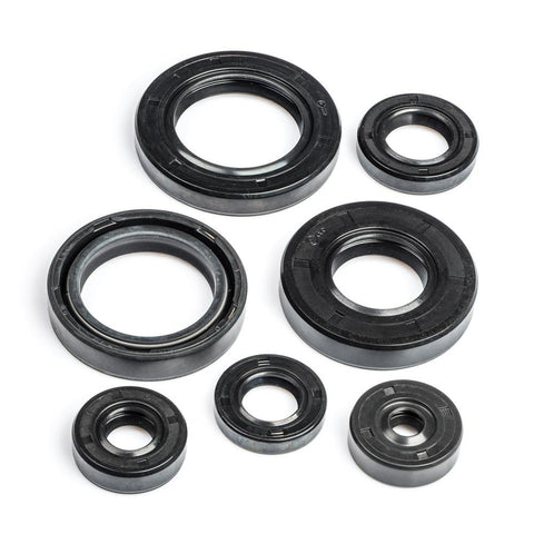 RD125 1976 Engine Oil Seal Kit