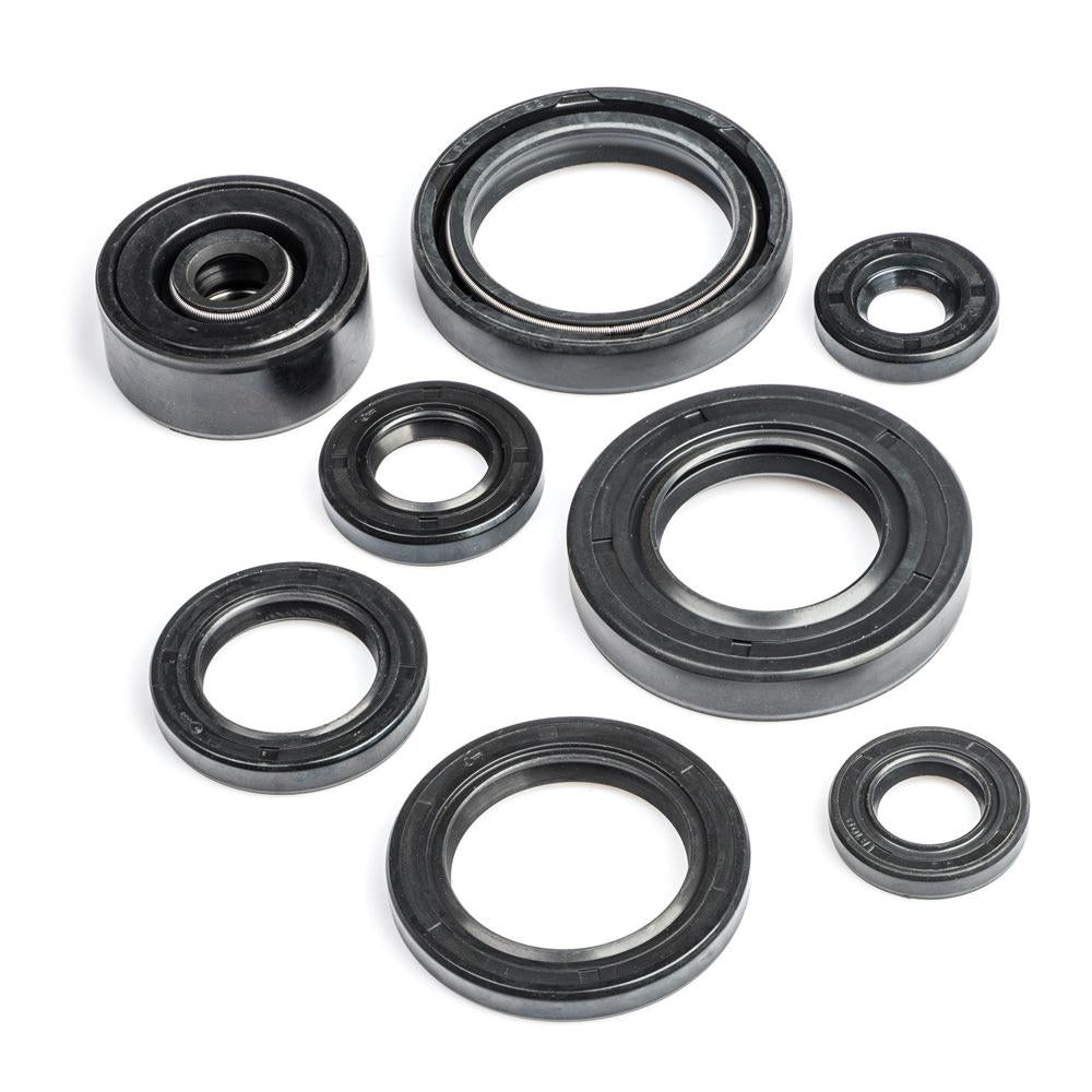 TDR125 Engine Oil Seal Kit