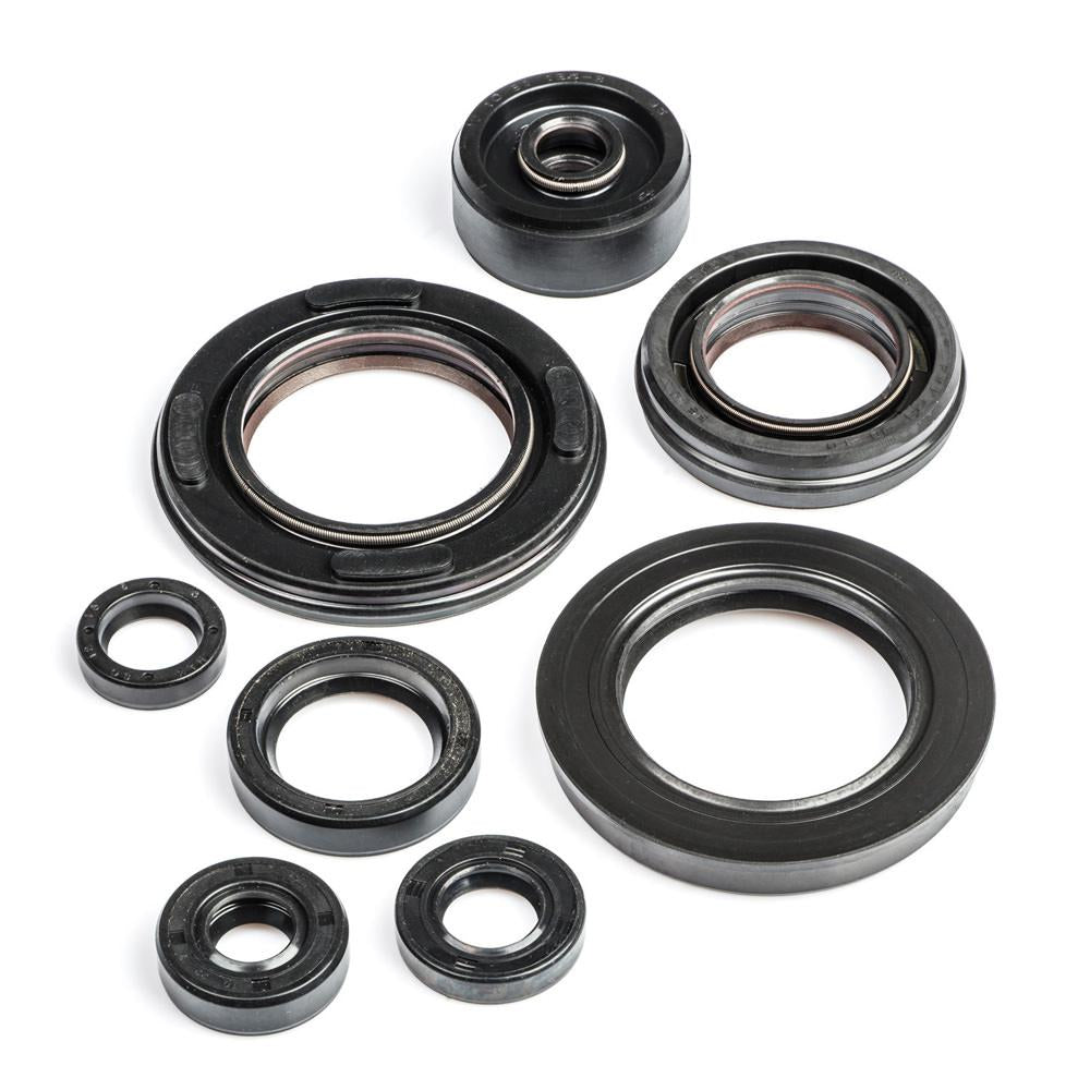 TDR250 Engine Oil Seal Kit