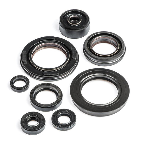 TDR250 Engine Oil Seal Kit
