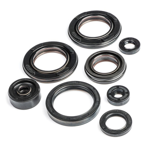 RZV500R Engine Oil Seal Kit