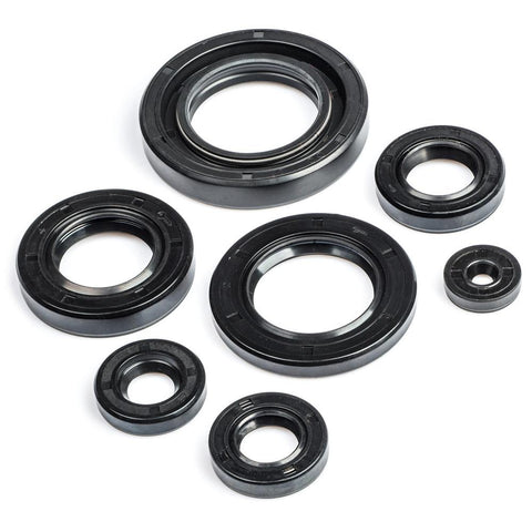 FS1DX Engine Oil Seal Kit 1977-1978