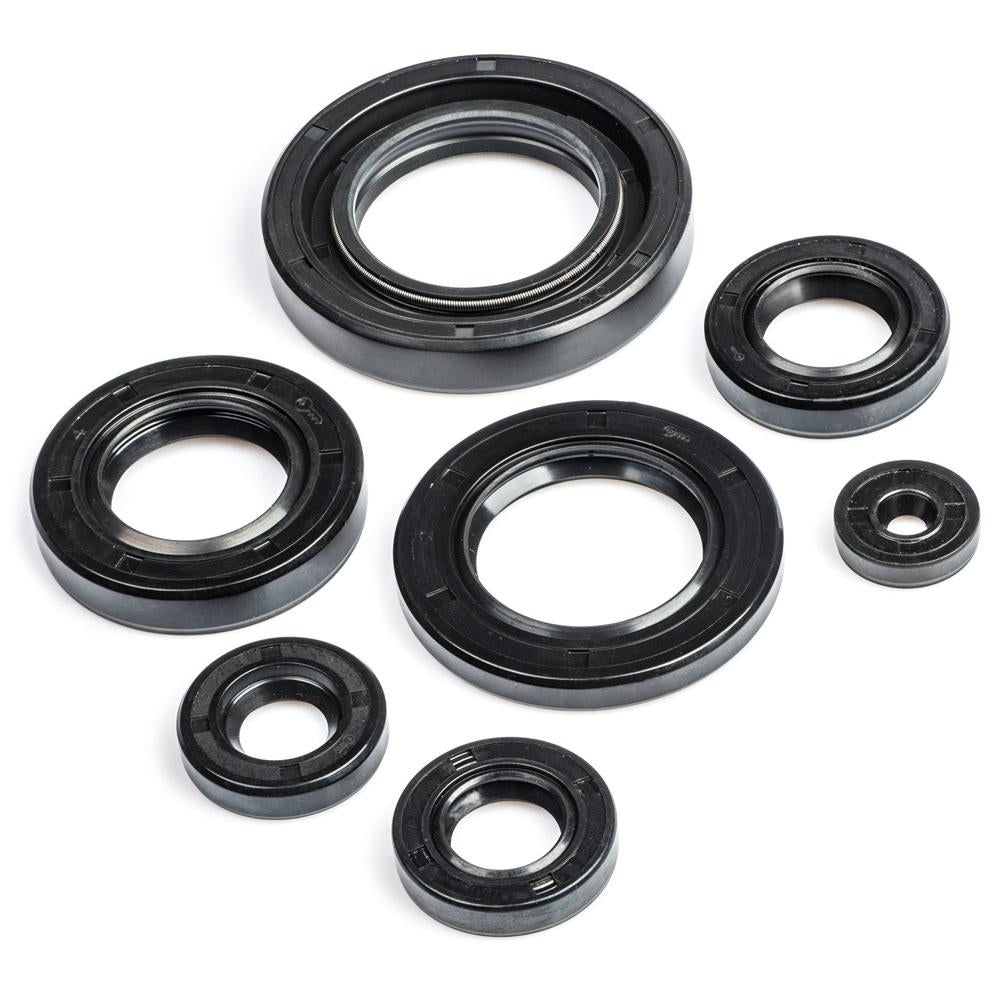 FS1E Engine Oil Seal Kit